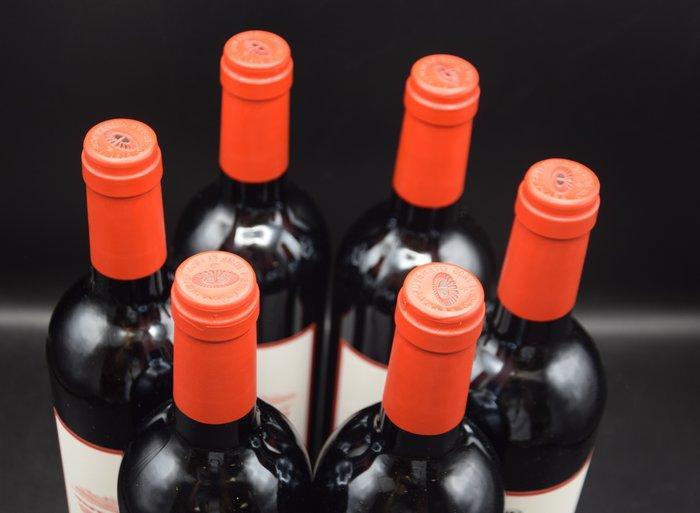 2020 Petra, Hebo - Toscane - 6 Flessen (0.75 liter), Verzamelen, Wijnen