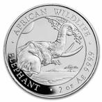 Somalische Olifant 2 oz 2023, Postzegels en Munten, Munten | Afrika, Verzenden, Overige landen, Losse munt, Zilver