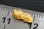 Goud , Pépite uit Suriname of Frans-Guyana- 0.34 g - (1), Antiek en Kunst