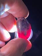 Robijn ZELDZAAM! Star Blood Ruby. 82,5 Ct. Africa Original