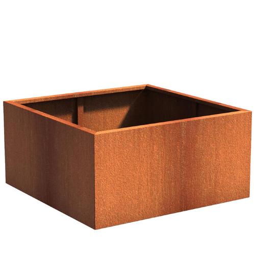 Cortenstaal plantenbak 120x120x60cm - Met bodem, Tuin en Terras, Bloembakken en Plantenbakken, 60 cm of meer, 100 cm of meer, Tuin