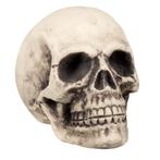 Halloween Schedel 38cm, Verzenden, Nieuw