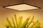 LED Groeipaneel | 35W | Full-Spectrum, Ophalen of Verzenden, Nieuw
