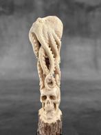 Snijwerk, NO RESERVE PRICE - Human Skulls with Octopus on, Antiek en Kunst