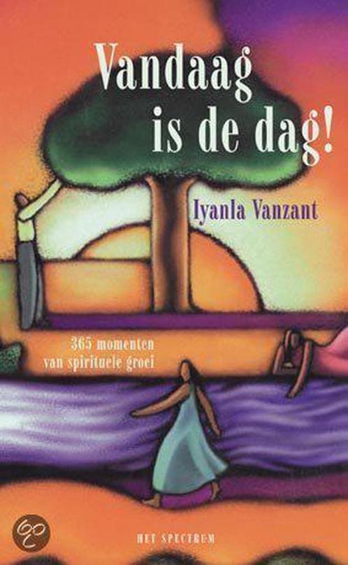 VANDAAG IS DE DAG 9789027400079 Lyanla Vanzant, Boeken, Psychologie, Zo goed als nieuw, Verzenden