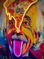 LEDMansion (1995) - Genius Theory Einstein V.1. | Led Wall, Antiek en Kunst