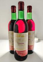 NV Castell del Remey, Extra 1900s - J. Girona - Lleida, Nieuw