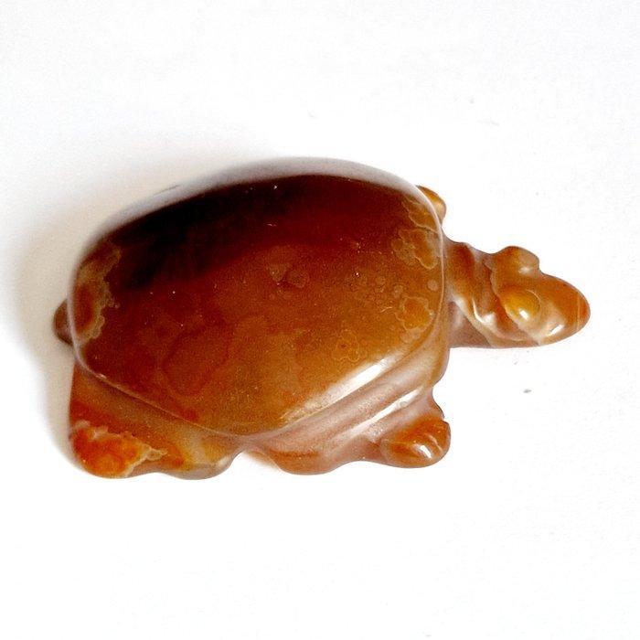 Oud-Tibetaans Agate Schildpad kralenamulet - 54 mm, Antiek en Kunst, Antiek | Overige Antiek