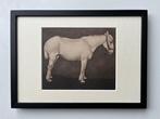 Jan Mankes (1889-1920) - Wit paard, Antiek en Kunst
