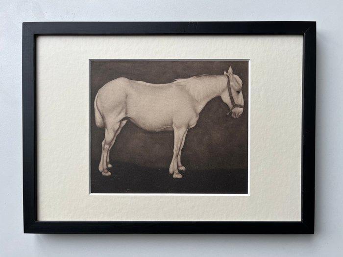 Jan Mankes (1889-1920) - Wit paard, Antiek en Kunst, Antiek | Overige Antiek