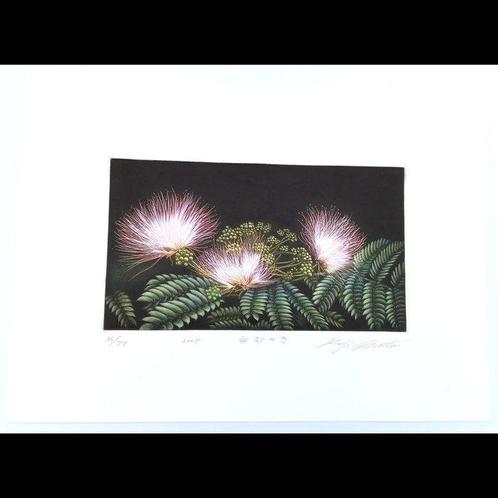 Copperplate Print - Nemunoki  (Albizia julibrissin) -, Antiek en Kunst, Antiek | Overige Antiek