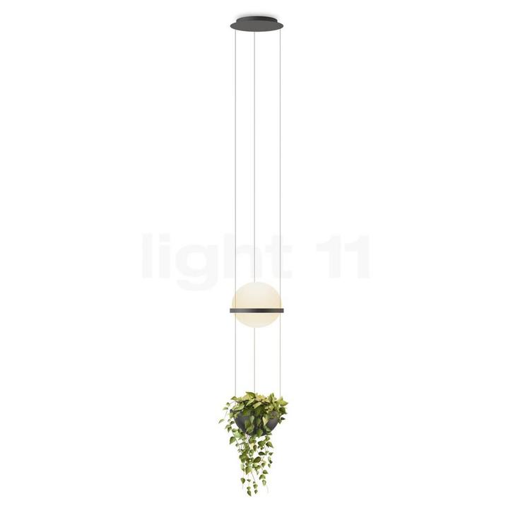 Vibia Palma 3724 Hanglamp LED - met bloempot, grafiet - 40 c, Huis en Inrichting, Lampen | Hanglampen, Nieuw, Verzenden