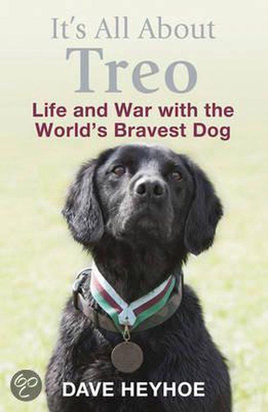 Its All About Treo 9781780873961 Dave Heyhoe, Boeken, Taal | Engels, Zo goed als nieuw, Verzenden