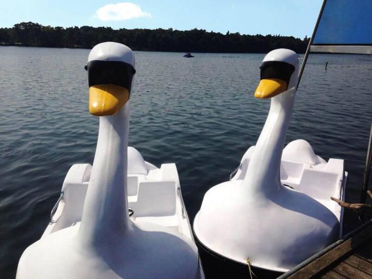 Zwaan Aquaparx nieuwe waterfiets - Zwaan waterfiets transpor, Watersport en Boten, Overige Watersport en Boten, Nieuw, Ophalen of Verzenden