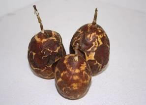 Passion Fruit Brown Fire /10 stuks Passion Fruit Brown Fire, Hobby en Vrije tijd, Knutselen, Nieuw, Ophalen of Verzenden