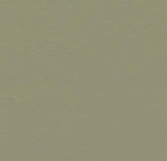 Forbo Marmoleum vtwonen VTW09 Nikkel, Doe-het-zelf en Verbouw, Overige Doe-het-zelf en Verbouw