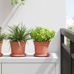 vidaXL Ronde Bloemenschalen 24 pcs Baksteenrood Ø 14 x 2 cm, Tuin en Terras, Kunststof, Minder dan 30 cm, Verzenden, Minder dan 60 cm