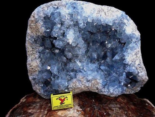 celestine Kristallen Cluster - Hoogte: 31 cm - Breedte: 26, Verzamelen, Mineralen en Fossielen
