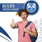 Wiskunde B begeleiding – Den Haag