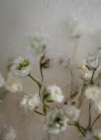 Julia Posta - Baroque No.7