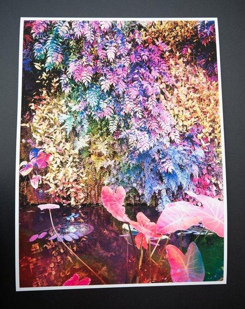 Viet Ha Tran - Secret Garden V, Antiek en Kunst, Kunst | Designobjecten