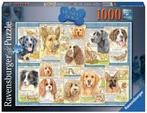 Trouwe Honden Puzzel (1000 stukjes) | Ravensburger - Puzzels