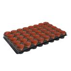 Talen Tools Zaai/Stekpotje Ø 7 cm - 40 Stuks voor Tuinlie.., Ophalen of Verzenden, Nieuw