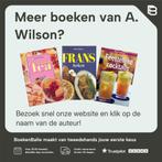 PANNENKOEKEN OMELETTEN EN BEIGNETS 9789054262459 A. Wilson, Boeken, Verzenden, Zo goed als nieuw, A. Wilson