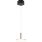 LED Hanglamp - Trion Lester - 10W - Warm Wit - 3000K -, Huis en Inrichting, Lampen | Hanglampen, Ophalen of Verzenden, Nieuw, Metaal