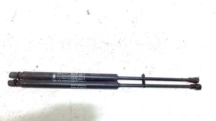 Gasdrukveerset achter Fiat Punto Evo  1.3 D Multijet 5177843, Auto-onderdelen, Carrosserie en Plaatwerk, ARN erkend, Stiba lid
