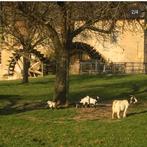 Landelijk vakantiehuis zuid-Limburg; wandel/fiets gebied !!!, Eigenaar