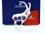 Figuur - Swarovski - Steenbok (Boxed + Certificate) -
