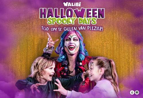 Walibi Holland tickets voor 2 personen, Tickets en Kaartjes, Recreatie | Pretparken en Attractieparken