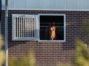 Stalraam | stalramen | stalluik | stalraam voor paardenstal beschikbaar voor biedingen