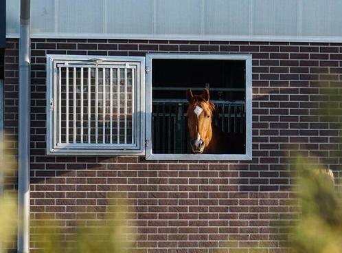 Stalraam | stalramen | stalluik | stalraam voor paardenstal, Dieren en Toebehoren, Stalling en Weidegang, Stalling, Toebehoren