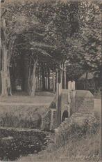 BERGEN N. H. - Sluis, Verzamelen, Verzenden, Gelopen