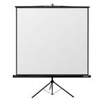 Reflecta Canvas Crystal Line 160cm Projectiescherm OUTLET, Verzenden, Gebruikt, Overige Merken