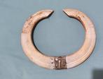Wild zwijn Slagtand - Sus scrofa - 29 cm - 37 cm - 3 cm-