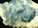 Blauwe Celestien met Calciet Kristallen op matrix - Hoogte: