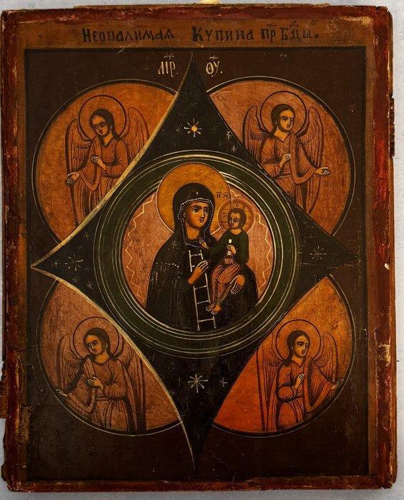 Icoon - Moeder Gods van het Brandend Niet-verbrandend, Antiek en Kunst, Kunst | Niet-Westerse kunst