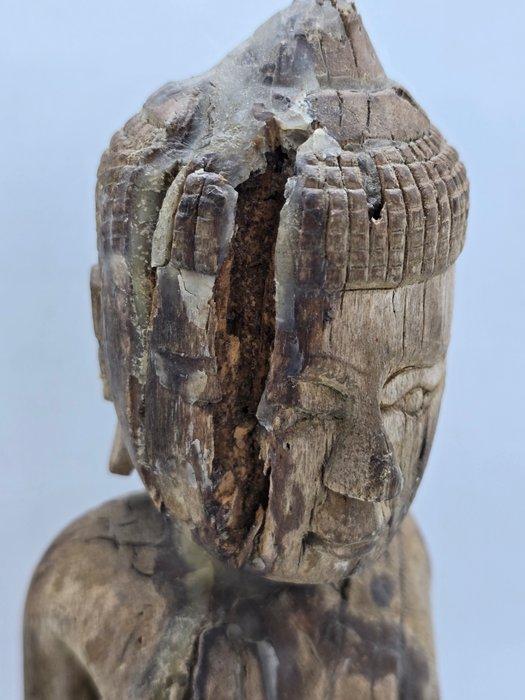 Buddha 25 cm Myanmar - Hout - Birma - Myanmar - 18e/19e eeuw, Antiek en Kunst, Kunst | Niet-Westerse kunst