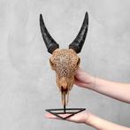 Geen veilingprijs - authentieke bruine gewei met gegraveerde