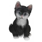 Zittende katten beeldje zwart 19 cm - Beeldjes, Verzamelen, Beelden en Beeldjes, Nieuw, Ophalen of Verzenden
