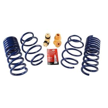 Ford Racing 15-19 Mustang (w/o MagneRide) Street Lowering beschikbaar voor biedingen