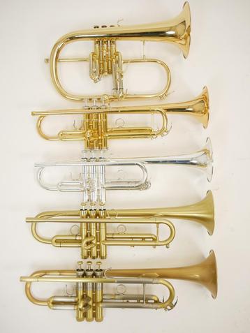 Exclusieve Trompetten en Bugel bij Van der Glas Heerenveen