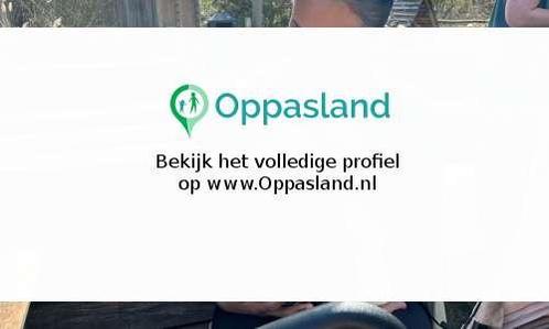 Felicity zoekt een oppas in Vlaardingen voor 1 kind., Sieraden, Tassen en Uiterlijk, Kettingen, Nieuw