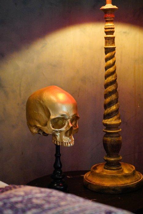 NO RESERVE PRICE - Stunning Replica Of Upper Human Skull on, Antiek en Kunst, Kunst | Designobjecten