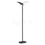 Hell Dual Vloerlamp LED, zwart (Staande lampen), Huis en Inrichting, Lampen | Vloerlampen, Verzenden, Nieuw