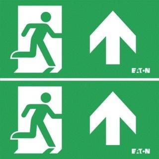 Eaton Blessing Skopos Pictogram Noodverlichting -, Tuin en Terras, Buitenverlichting, Overige typen, Nieuw, Verzenden