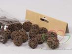 Liquidambar Fruit Naturel 100 gram kleinverpakking, Hobby en Vrije tijd, Knutselen, Ophalen of Verzenden, Nieuw